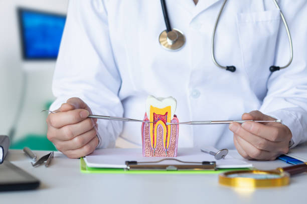 Best Chipped Tooth Repair Near Me  in Montegut, LA